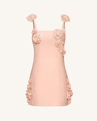Elaina Pink Rosette Applique Mini Dress - Apricot