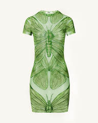 Dragonfly Shell Mini Dress - Green